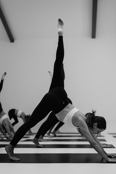 fitness class model
